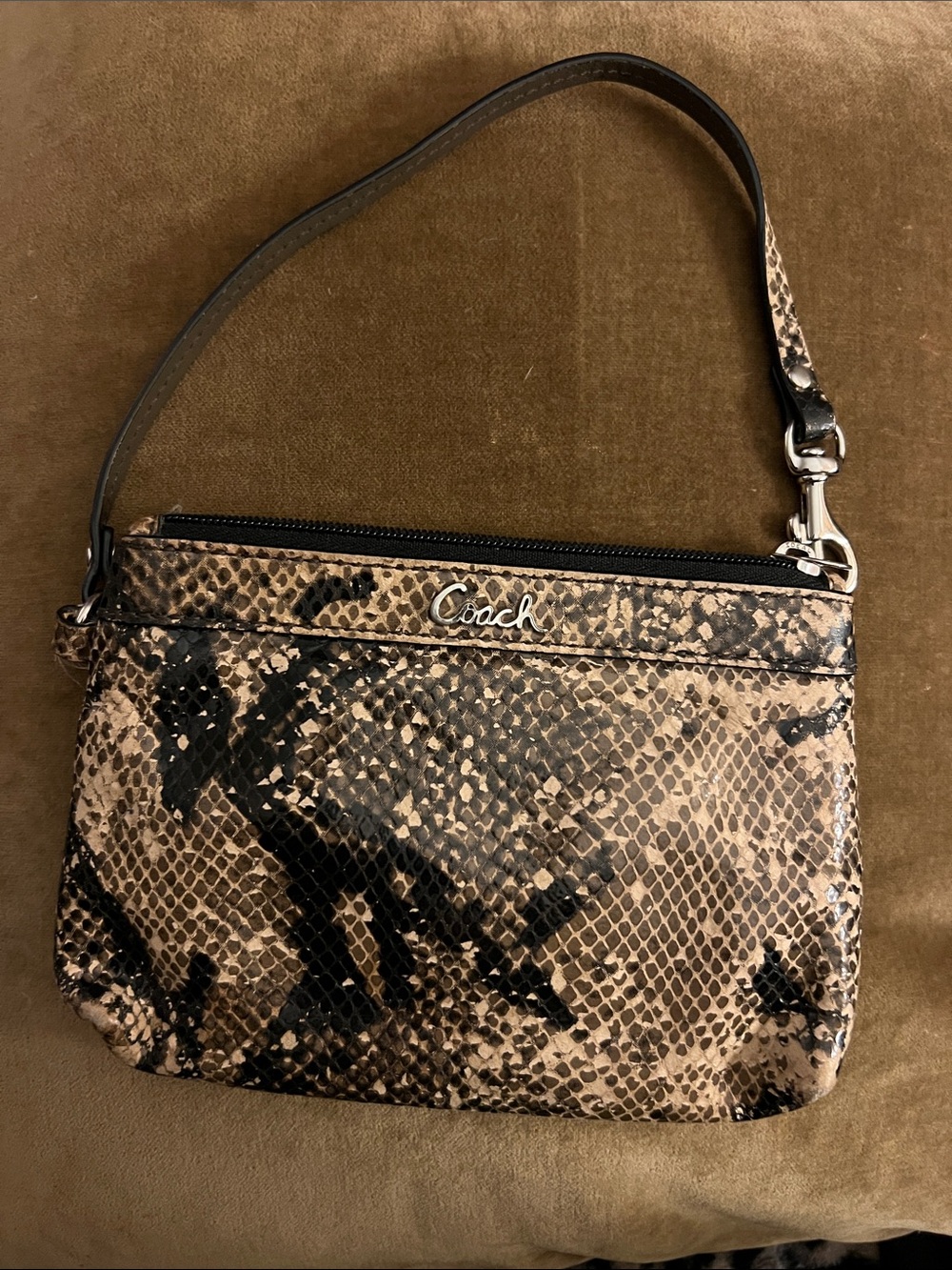 Coach Snake-Print Wristlet in Brown and Black